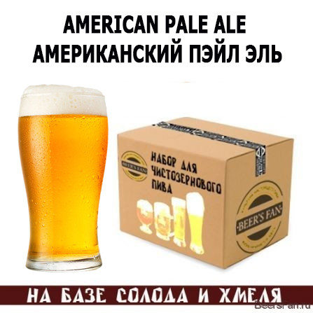 American Pale Ale / Американский пэйл эль